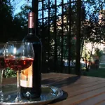 Vitellino *